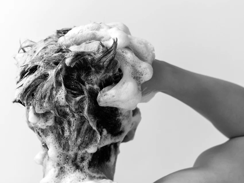 What shampoo is good for hair loss?