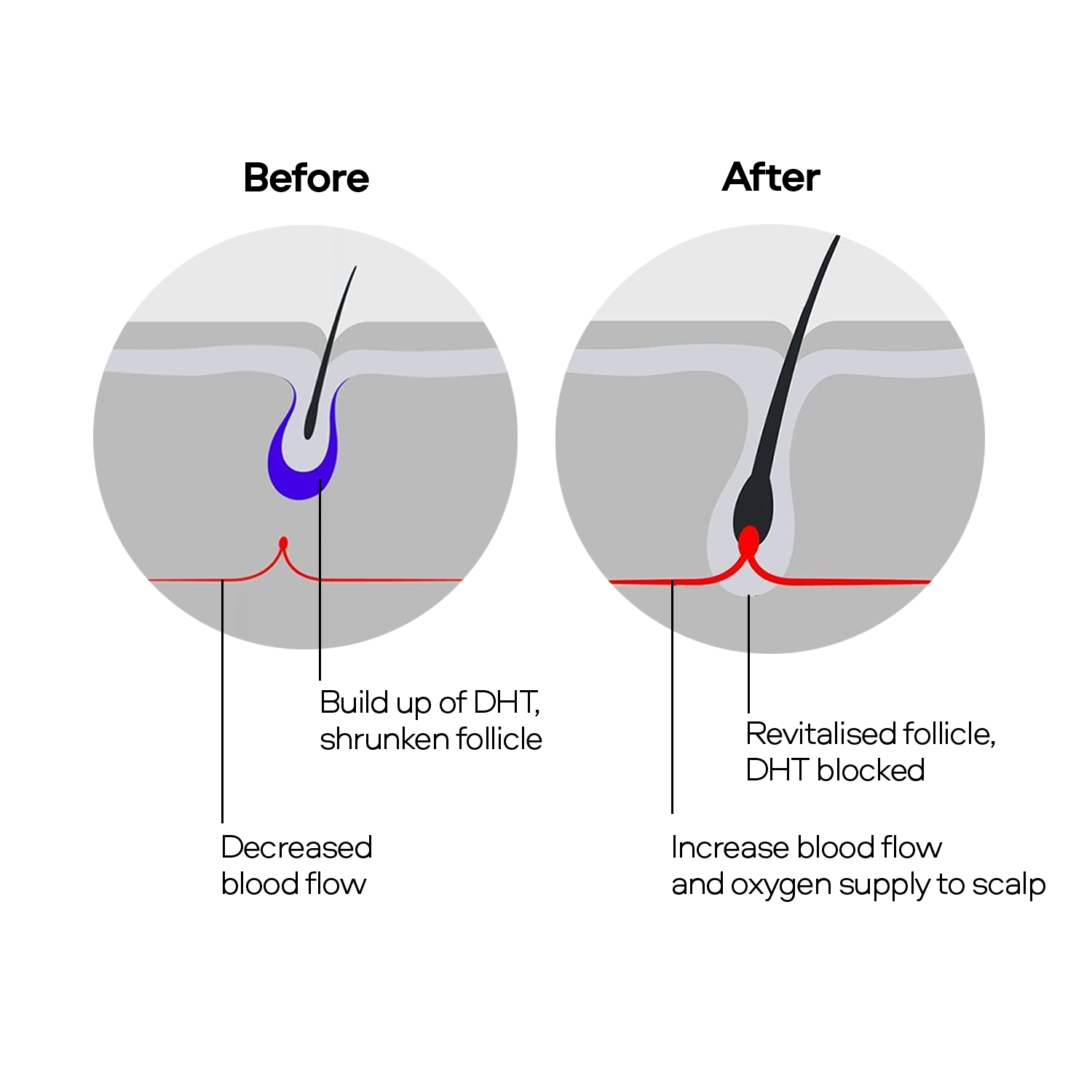 Combination Spray | Sons UK